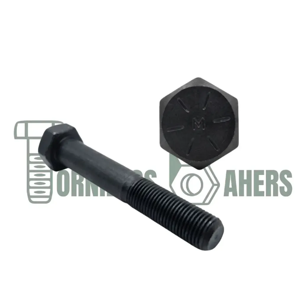 [T8F06127] TOR HEX G8 1/4 X 5 NF