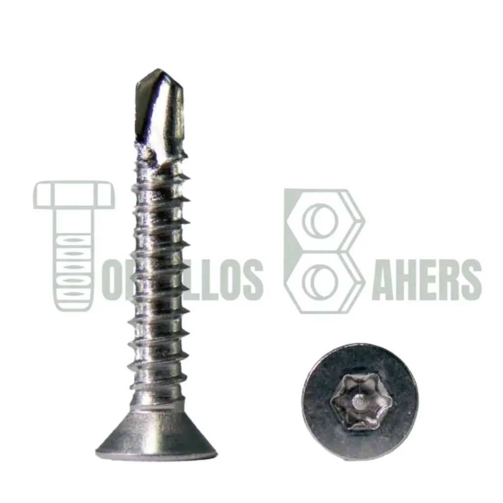 [TPXPBIS06025] TOR P/LAM PLANA TORX SEG P/B INOX NO.14 X 1