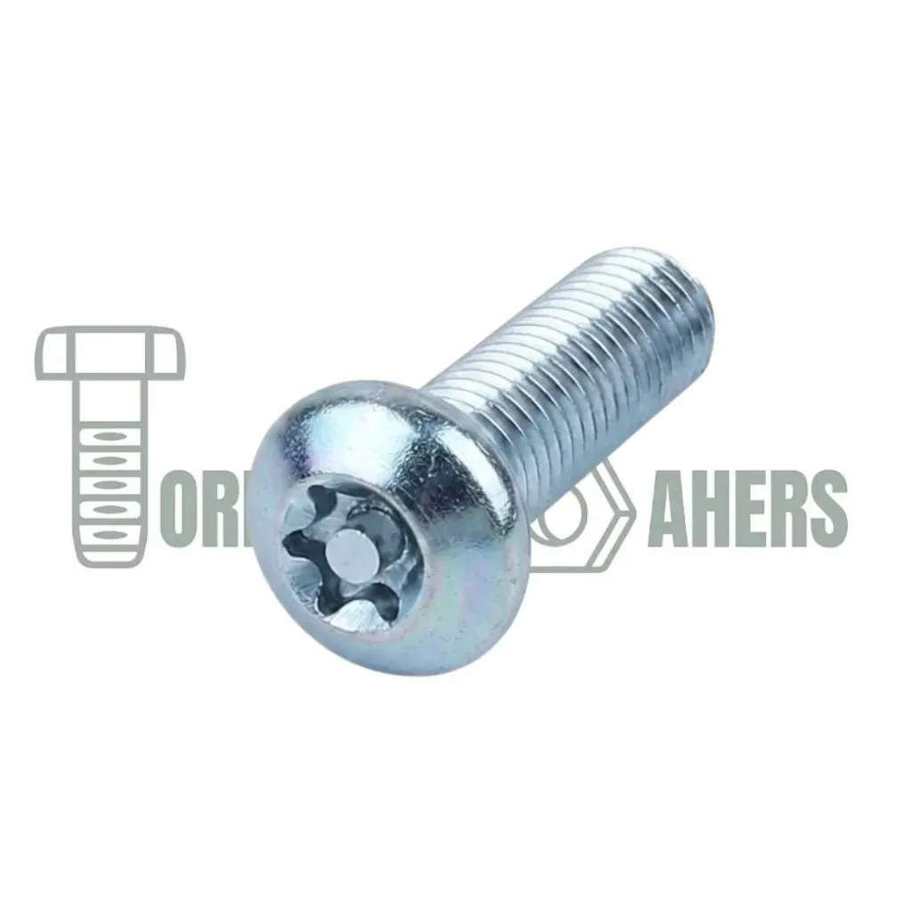 [TXGGS06013] TOR TORX GOTA SEG 1/4-20 X 1/2 GALV