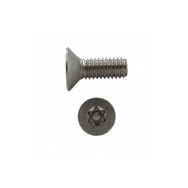 TOR TORX PLA SEG INOX 1/4-20 X 1 NC