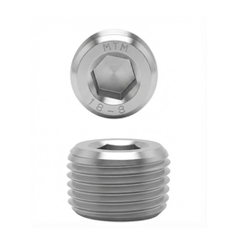 [VDI09] TAPON ALLEN NPT INOX T304 3/8-18
